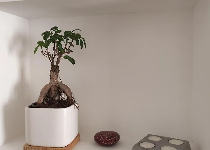 65m2 Proche Centre Ville, Parking *